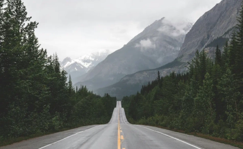 Auto-put kroz prirodu ka Zlatiboru